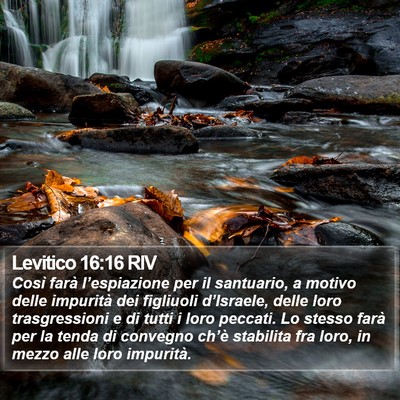 Levitico 16:16 RIV Bible Verse Image