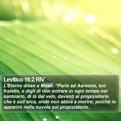 Levitico 16:2 RIV Bible Verse Image