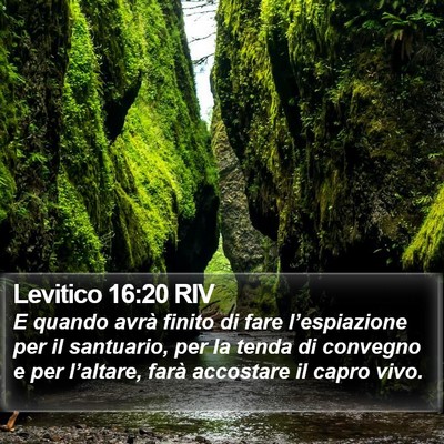Levitico 16:20 RIV Bible Verse Image