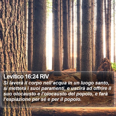 Levitico 16:24 RIV Bible Verse Image