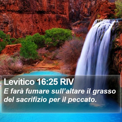 Levitico 16:25 RIV Bible Verse Image