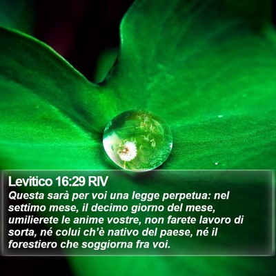 Levitico 16:29 RIV Bible Verse Image