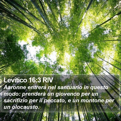 Levitico 16:3 RIV Bible Verse Image
