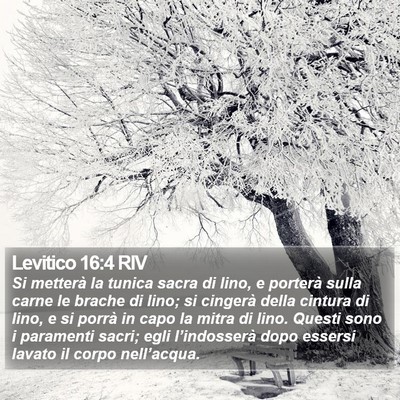 Levitico 16:4 RIV Bible Verse Image