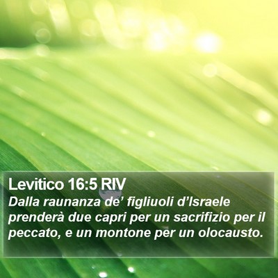 Levitico 16:5 RIV Bible Verse Image