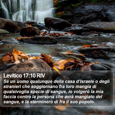 Levitico 17:10 RIV Bible Verse Image