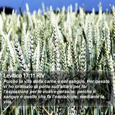 Levitico 17:11 RIV Bible Verse Image
