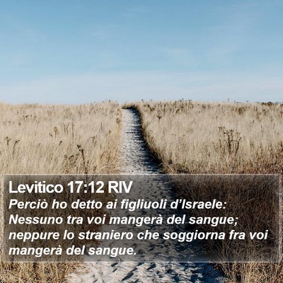 Levitico 17:12 RIV Bible Verse Image