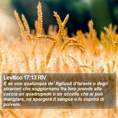 Levitico 17:13 RIV Bible Verse Image