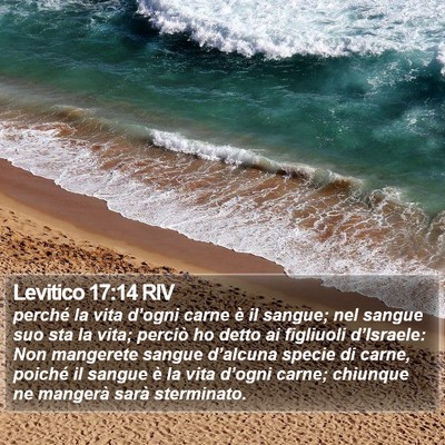Levitico 17:14 RIV Bible Verse Image