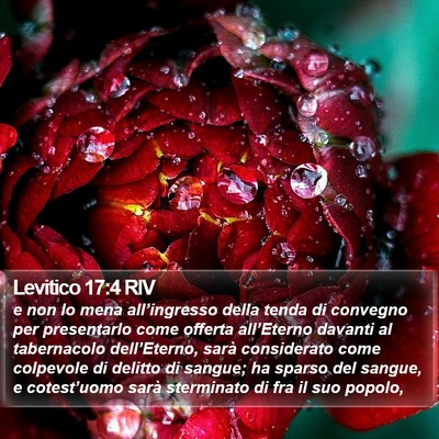 Levitico 17:4 RIV Bible Verse Image