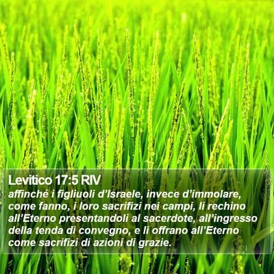 Levitico 17:5 RIV Bible Verse Image