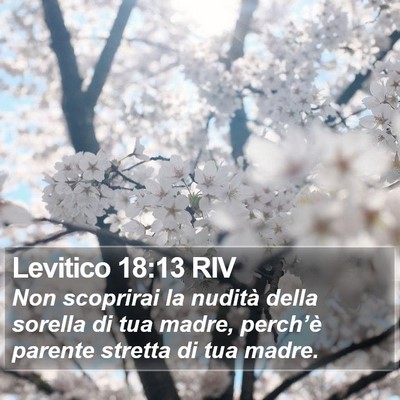 Levitico 18:13 RIV Bible Verse Image