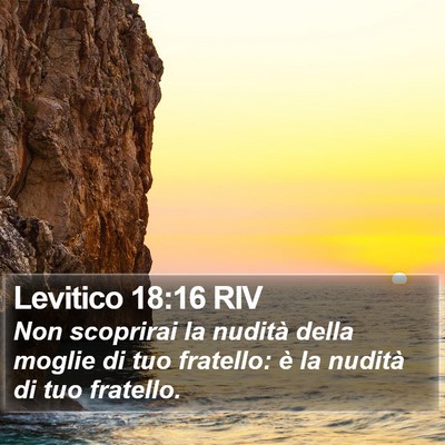 Levitico 18:16 RIV Bible Verse Image