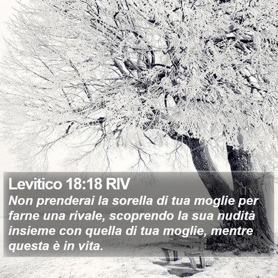 Levitico 18:18 RIV Bible Verse Image