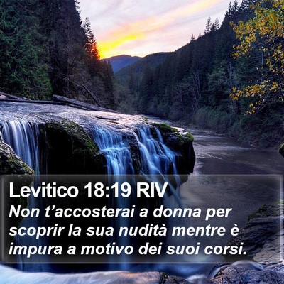 Levitico 18:19 RIV Bible Verse Image