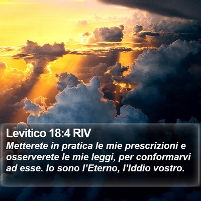 Levitico 18:4 RIV Bible Verse Image