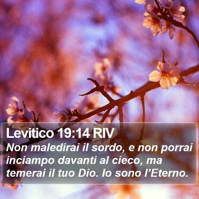 Levitico 19:14 RIV Bible Verse Image
