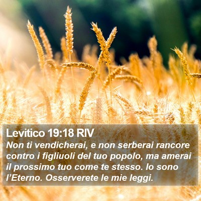 Levitico 19:18 RIV Bible Verse Image