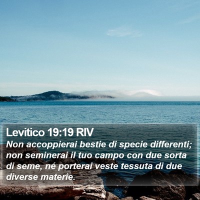Levitico 19:19 RIV Bible Verse Image