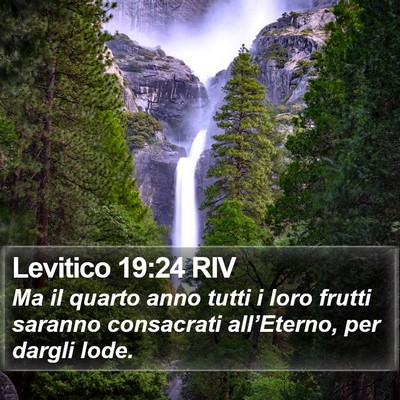 Levitico 19:24 RIV Bible Verse Image