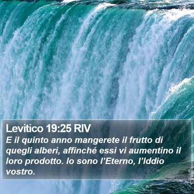 Levitico 19:25 RIV Bible Verse Image