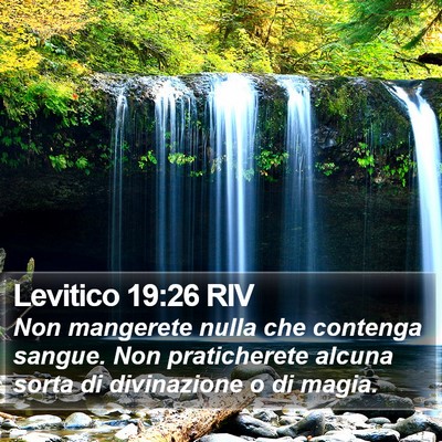 Levitico 19:26 RIV Bible Verse Image