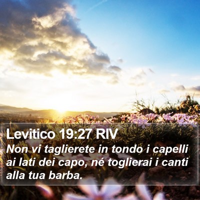 Levitico 19:27 RIV Bible Verse Image