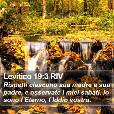 Levitico 19:3 RIV Bible Verse Image