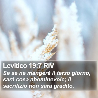 Levitico 19:7 RIV Bible Verse Image