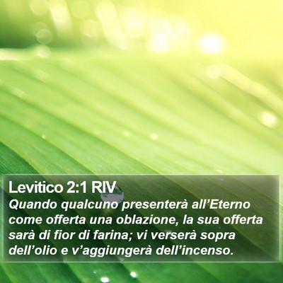 Levitico 2:1 RIV Bible Verse Image