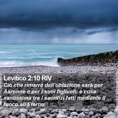 Levitico 2:10 RIV Bible Verse Image