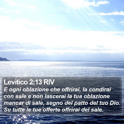 Levitico 2:13 RIV Bible Verse Image