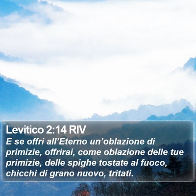 Levitico 2:14 RIV Bible Verse Image