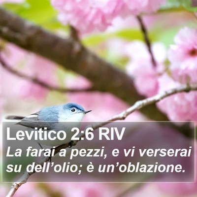 Levitico 2:6 RIV Bible Verse Image