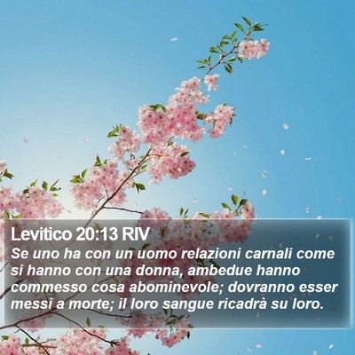 Levitico 20:13 RIV Bible Verse Image