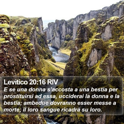 Levitico 20:16 RIV Bible Verse Image