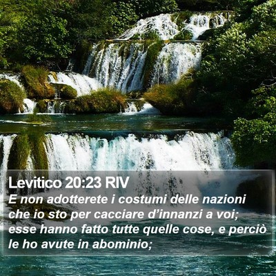 Levitico 20:23 RIV Bible Verse Image
