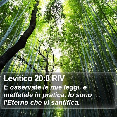 Levitico 20:8 RIV Bible Verse Image