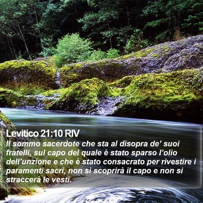 Levitico 21:10 RIV Bible Verse Image