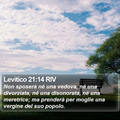 Levitico 21:14 RIV Bible Verse Image