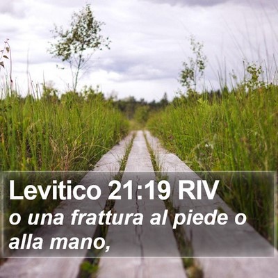 Levitico 21:19 RIV Bible Verse Image