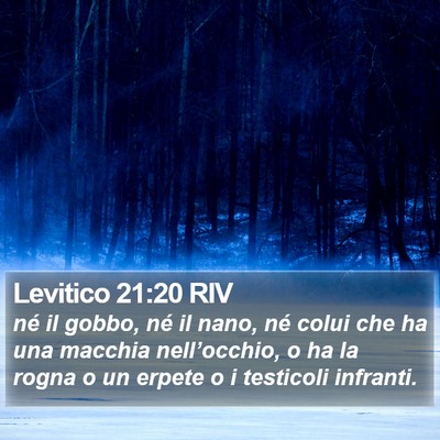 Levitico 21:20 RIV Bible Verse Image