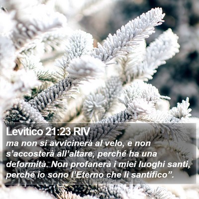 Levitico 21:23 RIV Bible Verse Image