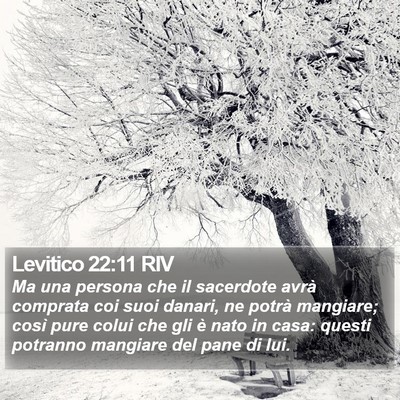 Levitico 22:11 RIV Bible Verse Image