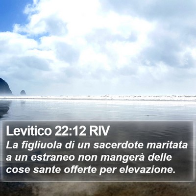 Levitico 22:12 RIV Bible Verse Image