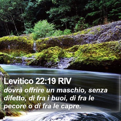 Levitico 22:19 RIV Bible Verse Image