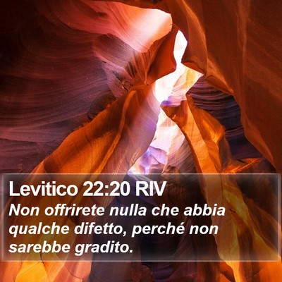 Levitico 22:20 RIV Bible Verse Image