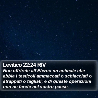 Levitico 22:24 RIV Bible Verse Image