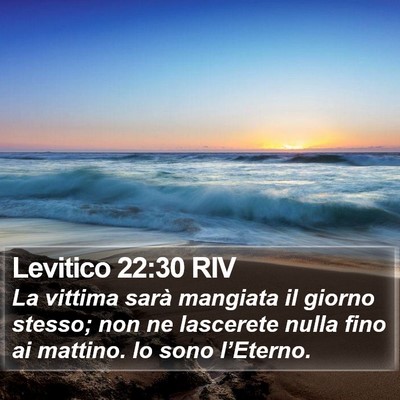 Levitico 22:30 RIV Bible Verse Image